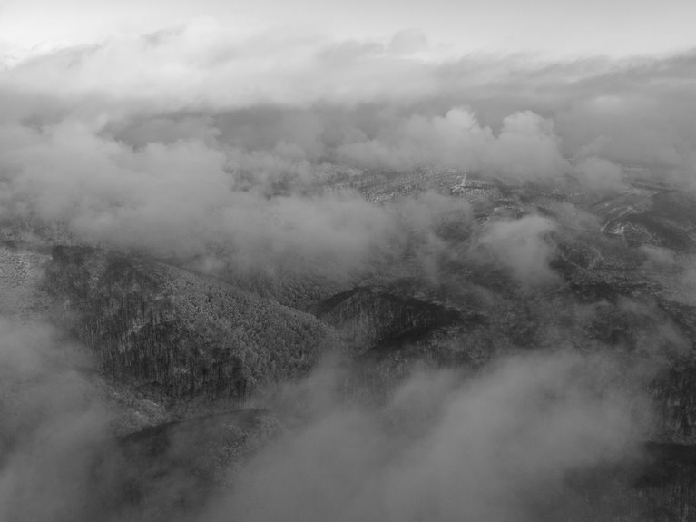 latest version overview released