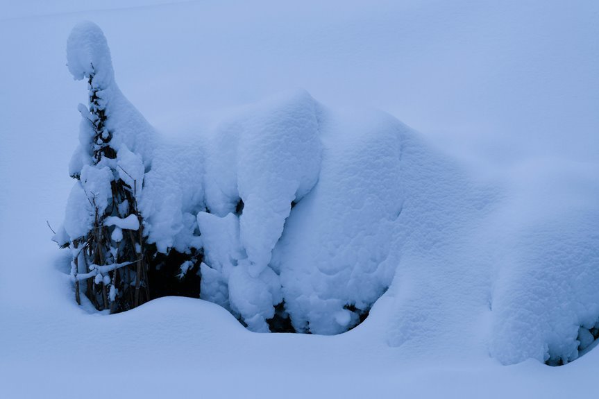 luminous drift s prismshard testament