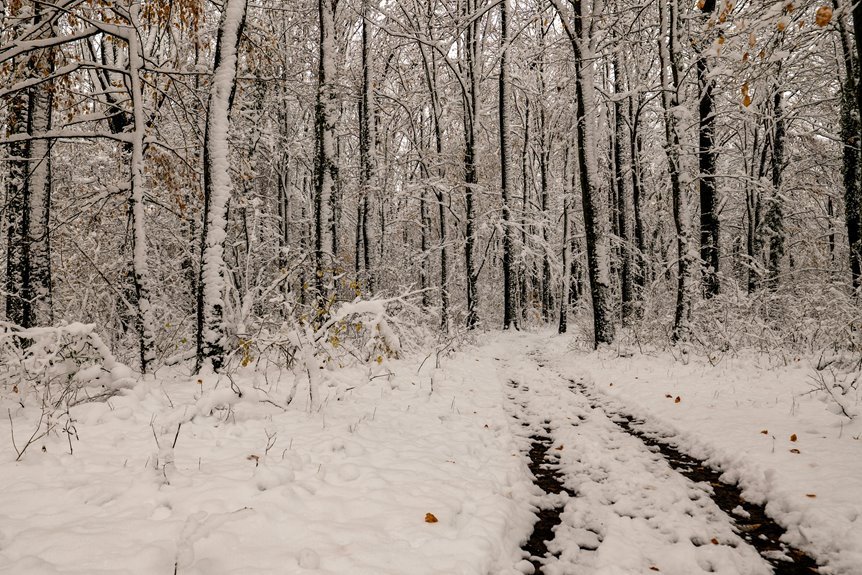 prismcall ledger sovereign path