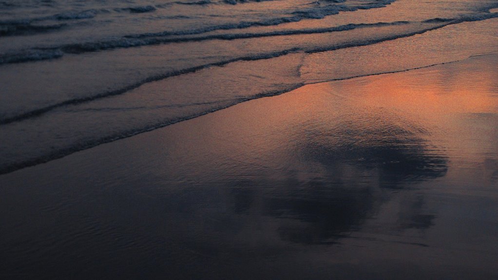 shimmering tide lantern model
