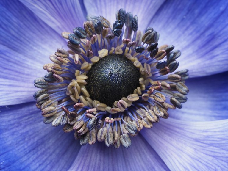 silent gyres radiant core