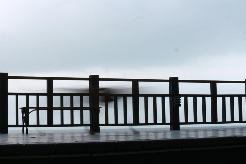 skyfire codex echoes revealed