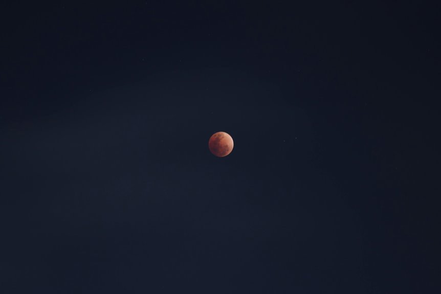 starspindle codex infinite orbits