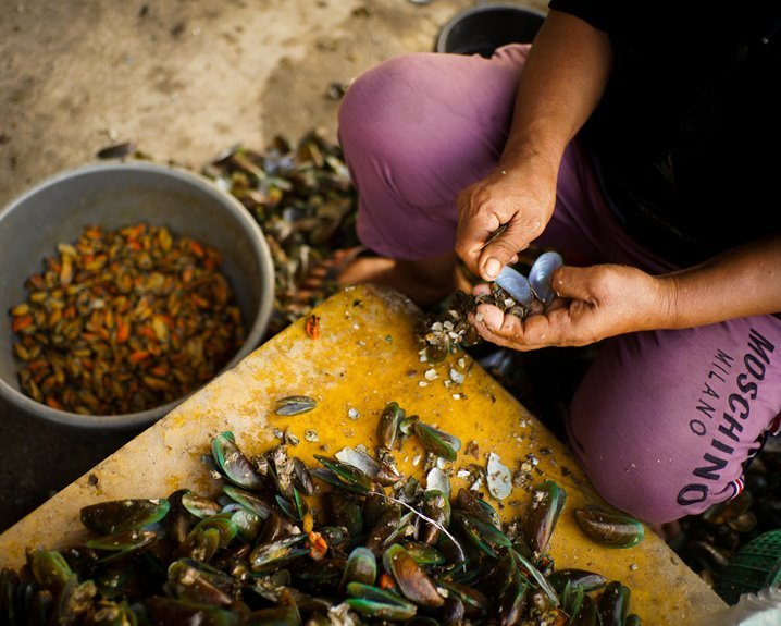 canthion dragonfruitloops manual