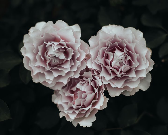 zenflora cloudberry petals ledger