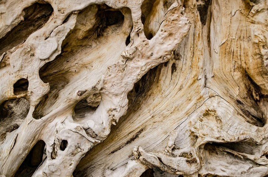 Cookape Org Covers 621220053 Details