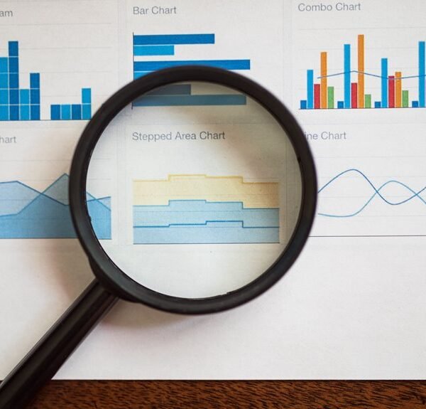 cookape org website insights